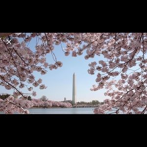 Thanks for taking the time to check out my closet!